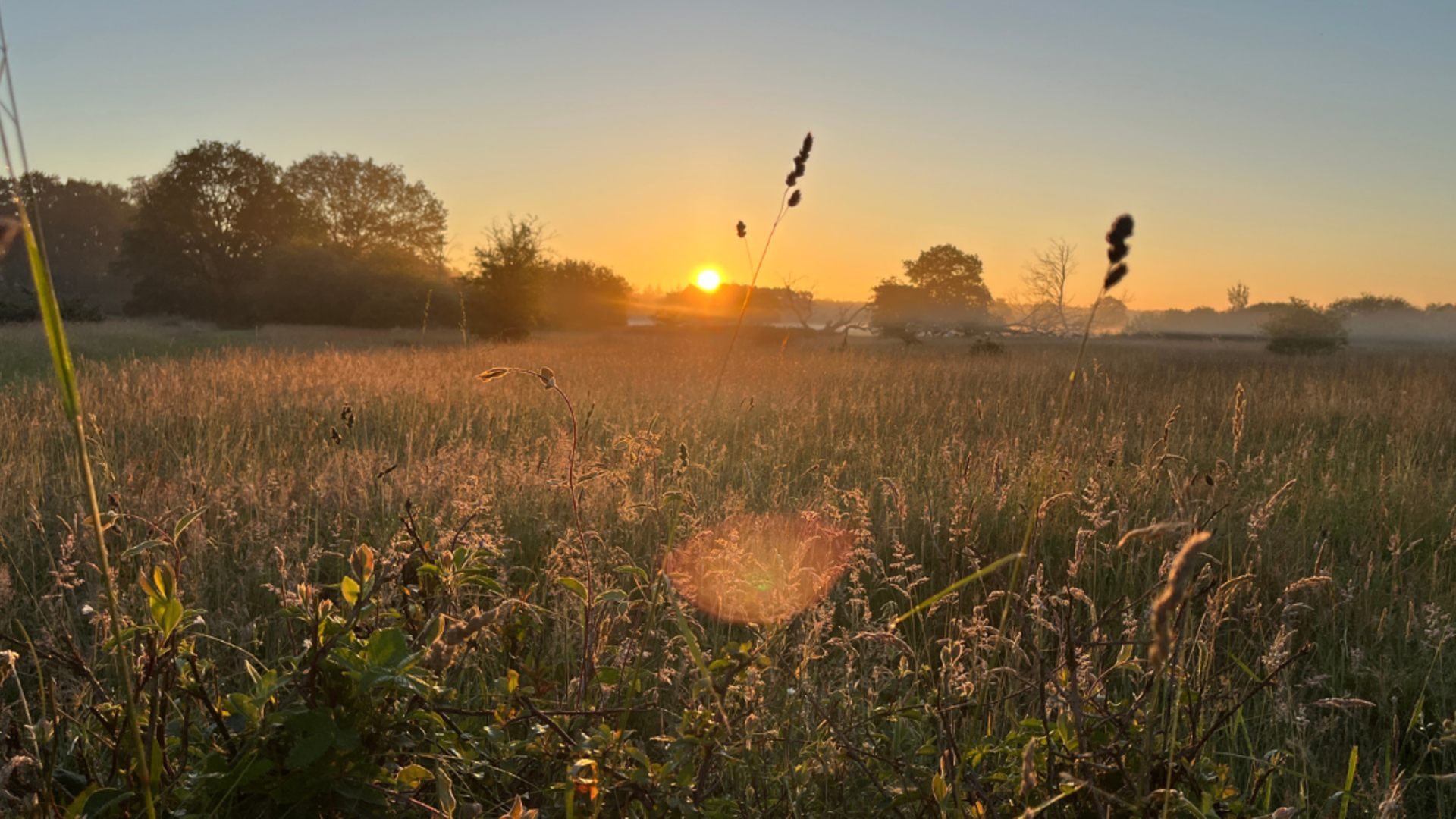 Zonsopkomst Dwingelderveld